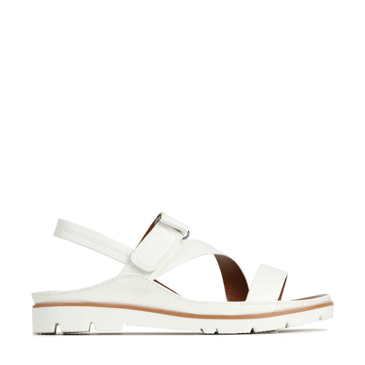 Ashli Sandal